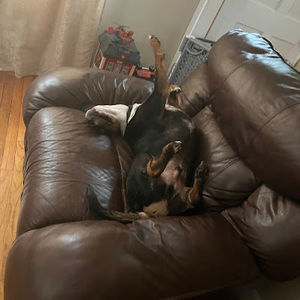 Meet your Posher, Kai